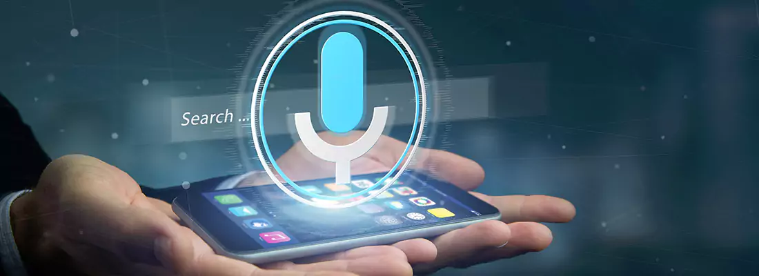 Enhance Security with Voice Recognition Access Systems in Hollywood, FL